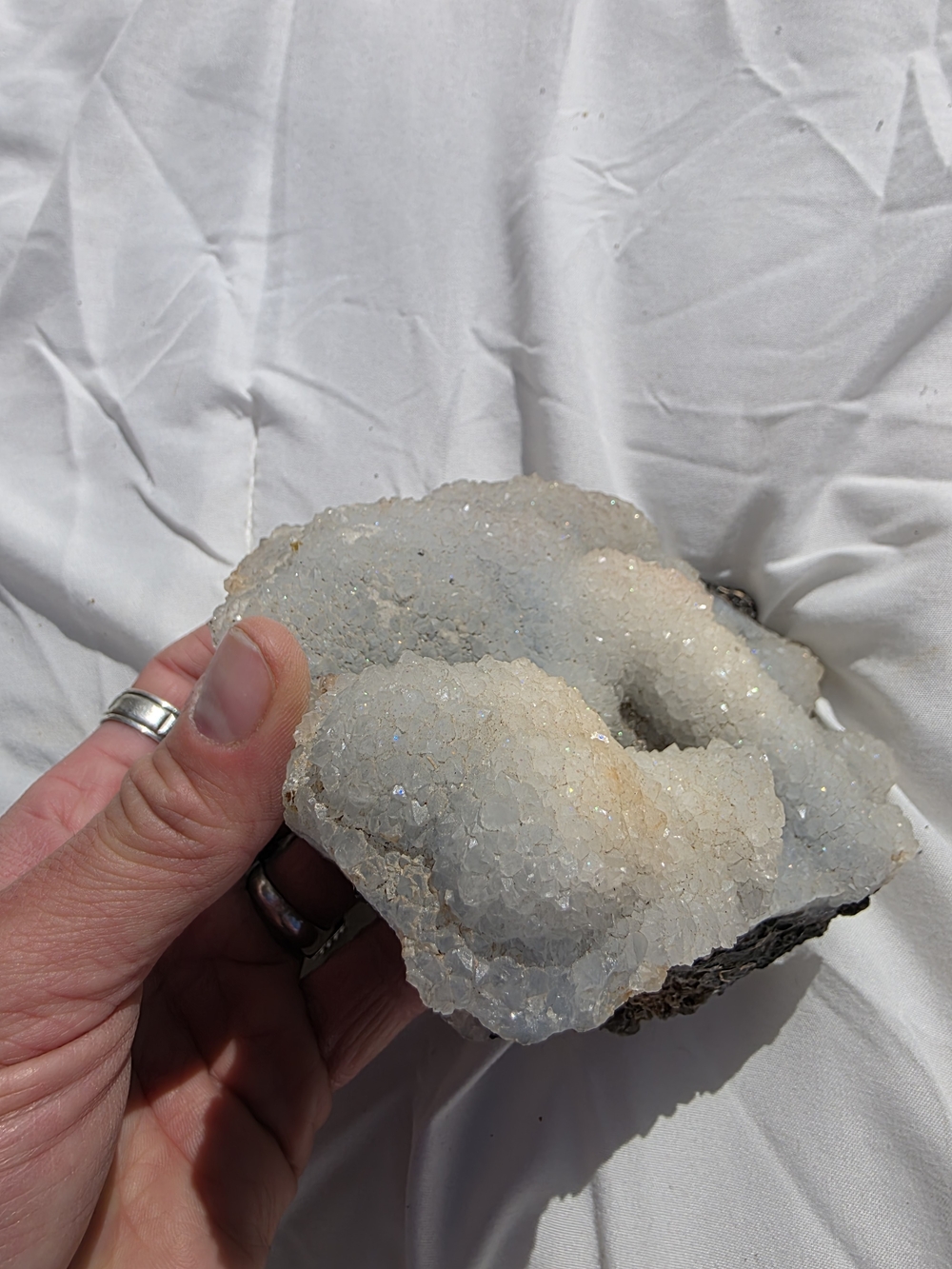 RARE FOSSILIZED CORAL SPECIMEN